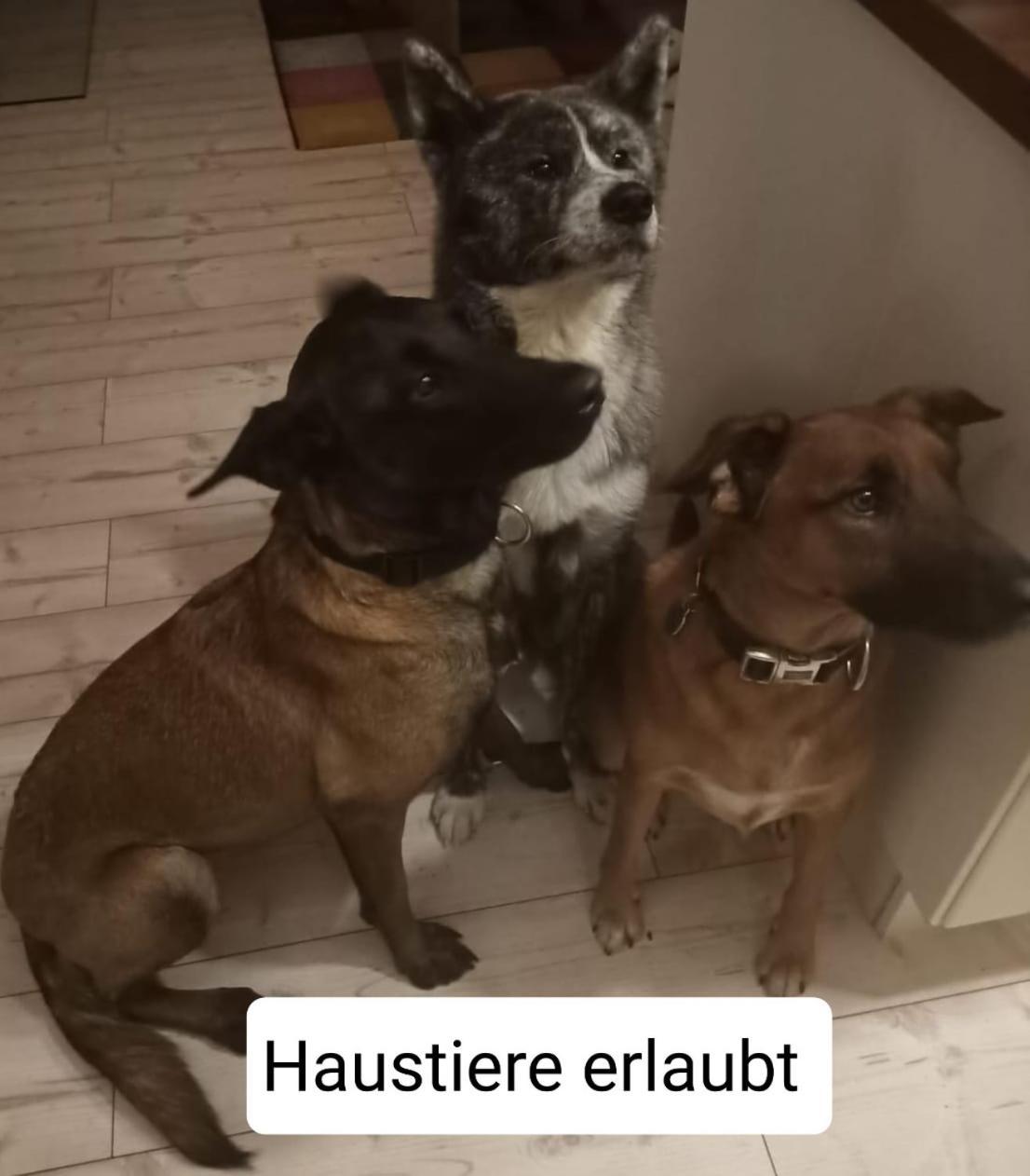 Ferienwohnungen Thomsen Bergdorf Pobershau Marienberg Kültér fotó